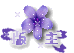 ̳